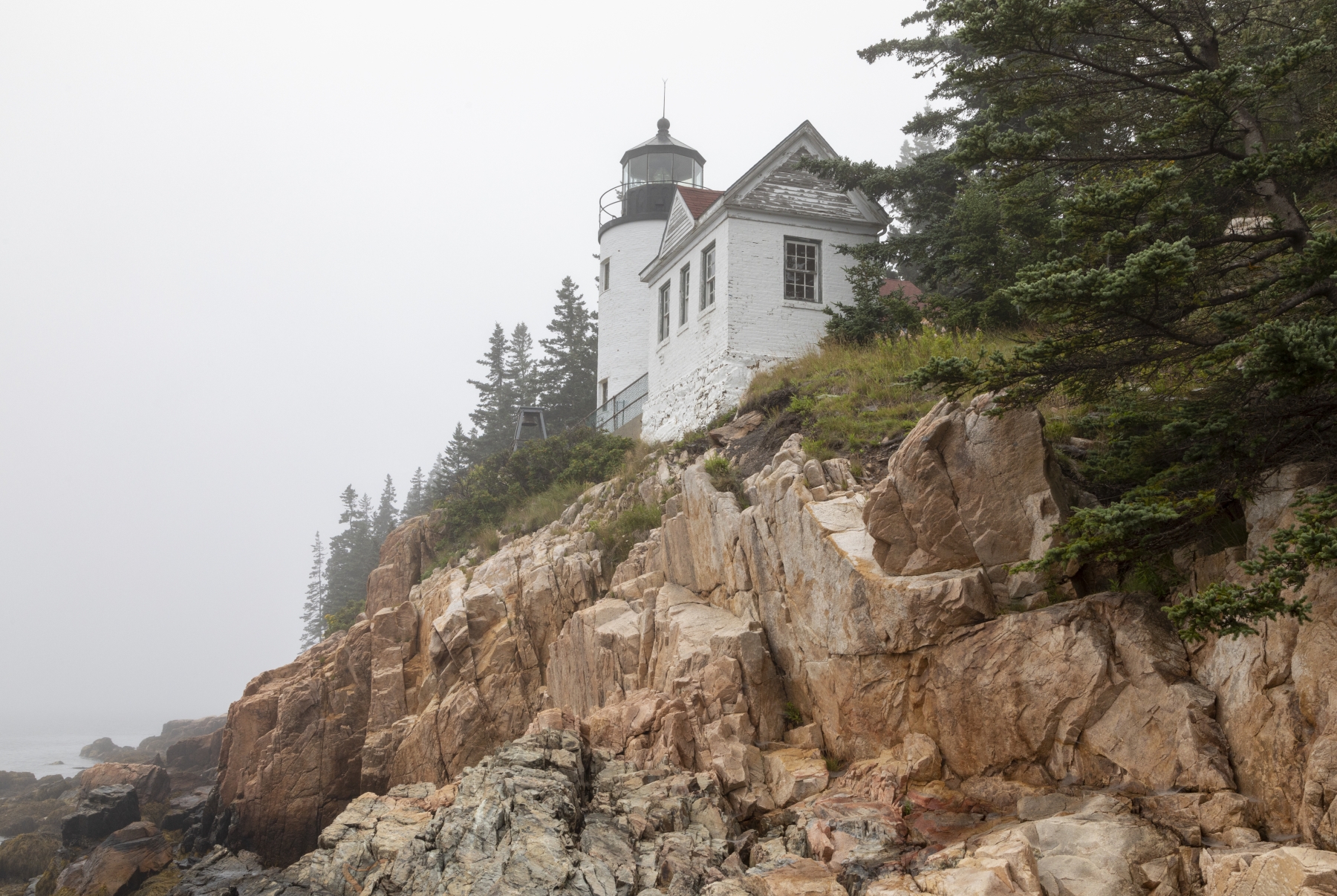 /gallery/north_america/USA/Maine/arcadia np/Bass Harbor Lighthouse Aug 2021-003_med.jpg